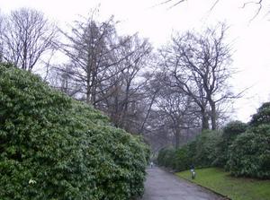 SatJan620070511PM.jpg