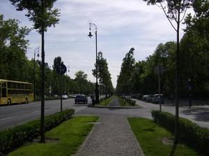 FriMay1120071040PM.jpg