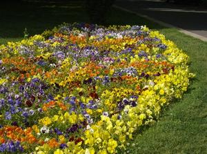 FriMay1120071058PM.jpg