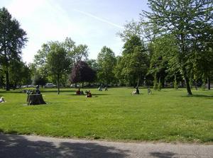 FriMay1120071112PM_2.jpg