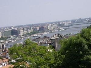 SatMay1220070932PM.jpg