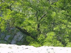 SatMay1220071034PM.jpg