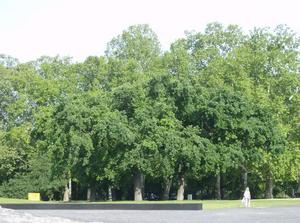SatMay1220071227AM_2.jpg
