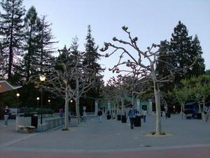 TueApr120080840PM_2.jpg