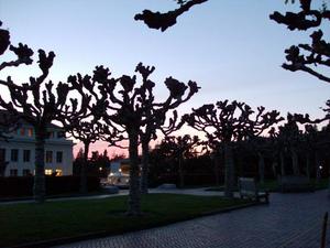 TueApr120080856PM_3.jpg