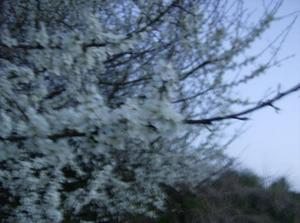 FriApr1320070523AM_2.jpg