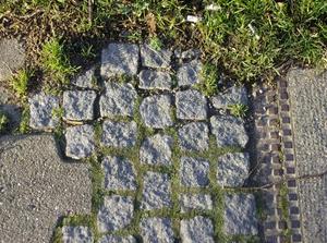 FriDec1520061108AM.jpg
