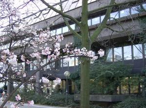 FriDec1520061220PM_4.jpg