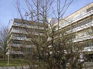 FriDec1520061224PM.jpg