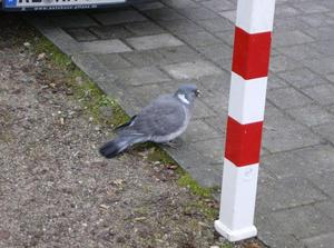 FriDec2220061122AM_2.jpg