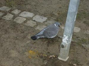 FriDec2220061122AM.jpg