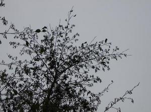 FriDec2220061152AM_2.jpg