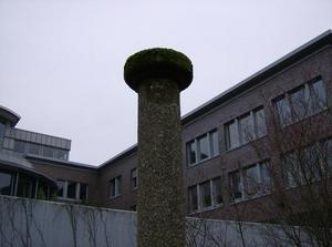 FriDec2220061158AM.jpg