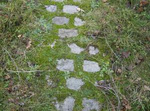 FriDec2220061159AM_2.jpg