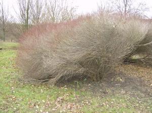 FriDec2220061159AM_3.jpg