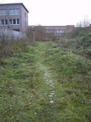 FriDec2220061200PM.jpg