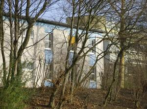 FriJan1220071110AM_4.jpg