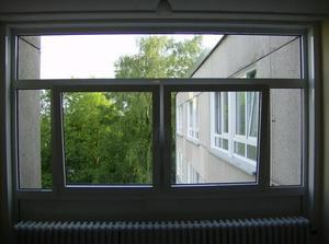 FriMay1120070249AM_3.jpg