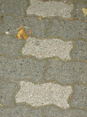 HPIM0173.jpg
