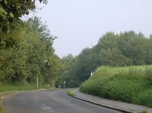 HPIM0176.jpg