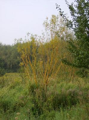 HPIM0182.jpg