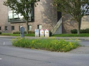 HPIM0193.jpg