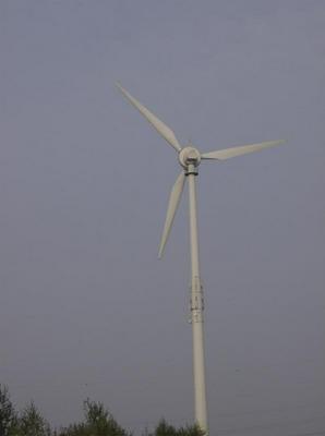 HPIM0194.jpg