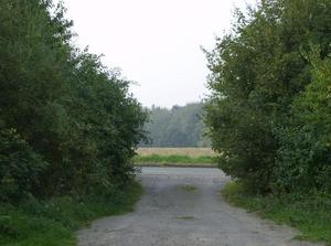 HPIM0196.jpg