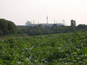 HPIM0282.jpg