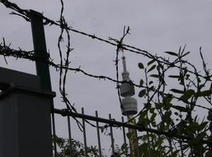 HPIM0291.jpg