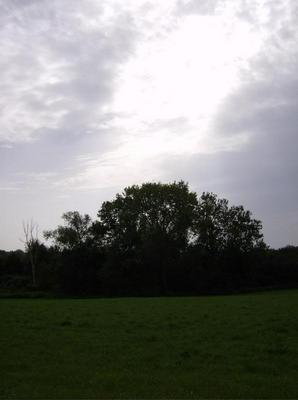 HPIM0300.jpg