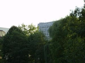 HPIM0302.jpg
