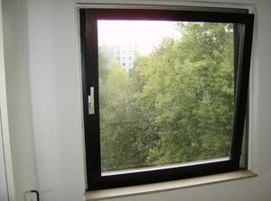 HPIM0306.jpg