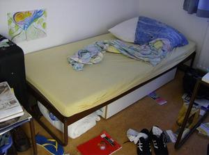 HPIM0323.jpg