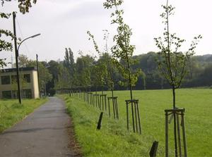 HPIM0327.jpg