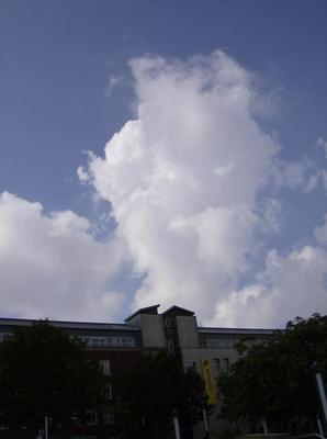 HPIM0344.jpg