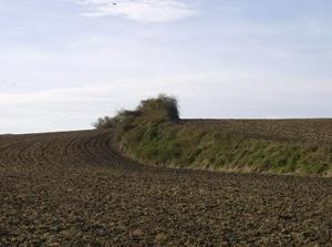 HPIM0539.jpg