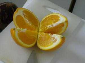 HPIM2336.jpg