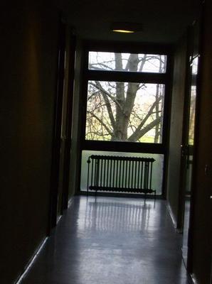 HPIM2347.jpg