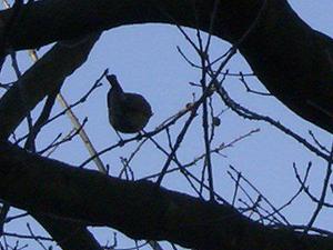 MonJan1520070244PM_2.jpg