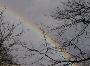 SatFeb2420070123AM_2.jpg