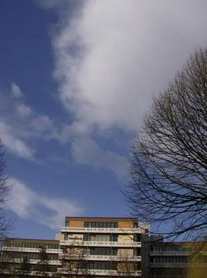SatFeb2420070124AM_2.jpg