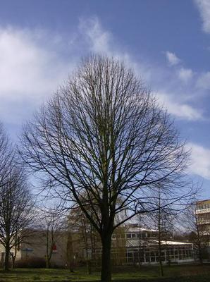 SatFeb2420070124AM_3.jpg