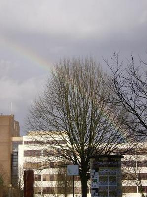 SatFeb2420070124AM_4.jpg