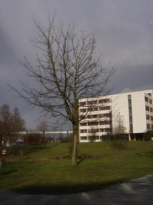SatFeb2420070125AM_4.jpg