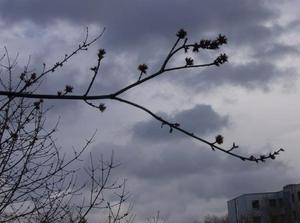 SatFeb2420071109PM.jpg