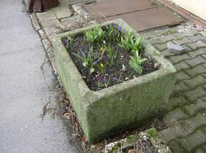 SatFeb2420071113PM.jpg