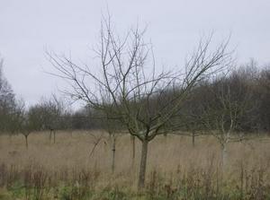 SatJan620071145AM_2.jpg
