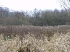 SatJan620071145AM.jpg