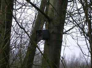 SatJan620071149AM_3.jpg